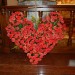 DSCN9534